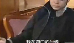 四哥爆料浩子视频播放在线观看,浩子视频独家播放，在线观看攻略大公开！